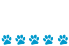 Ski Resort Ratings
